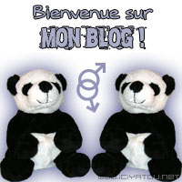 bienvenue