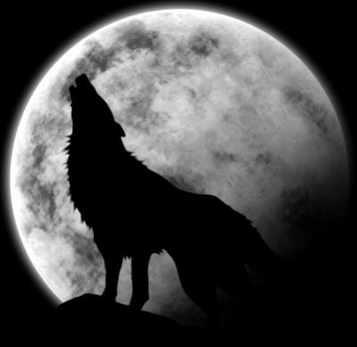 Loup